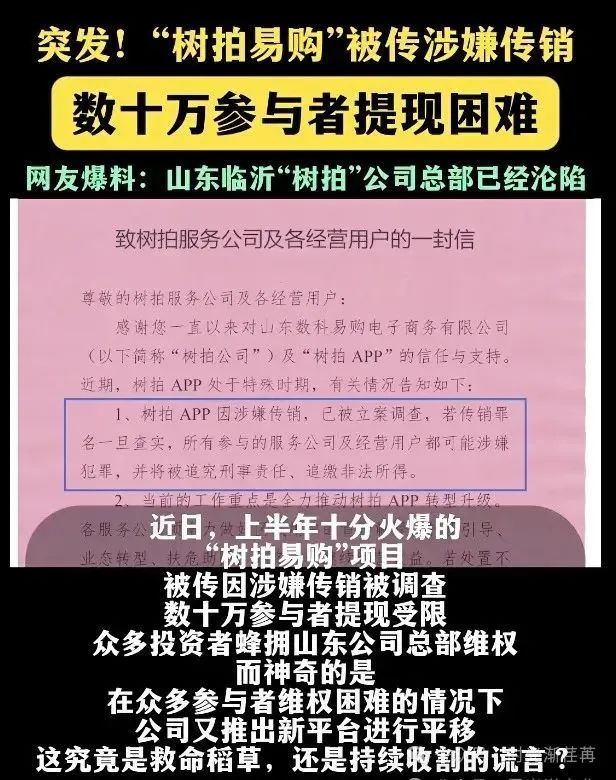 “爆雷！树拍易购鑫慷嘉连环炸，数字外衣下的庞氏骗局让百万家庭‘