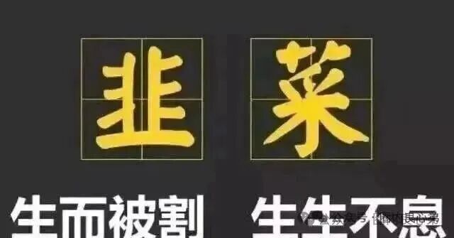 10月底最新整理8个崩盘跑路【启明创投，全球供应链，超脑智算，方舟