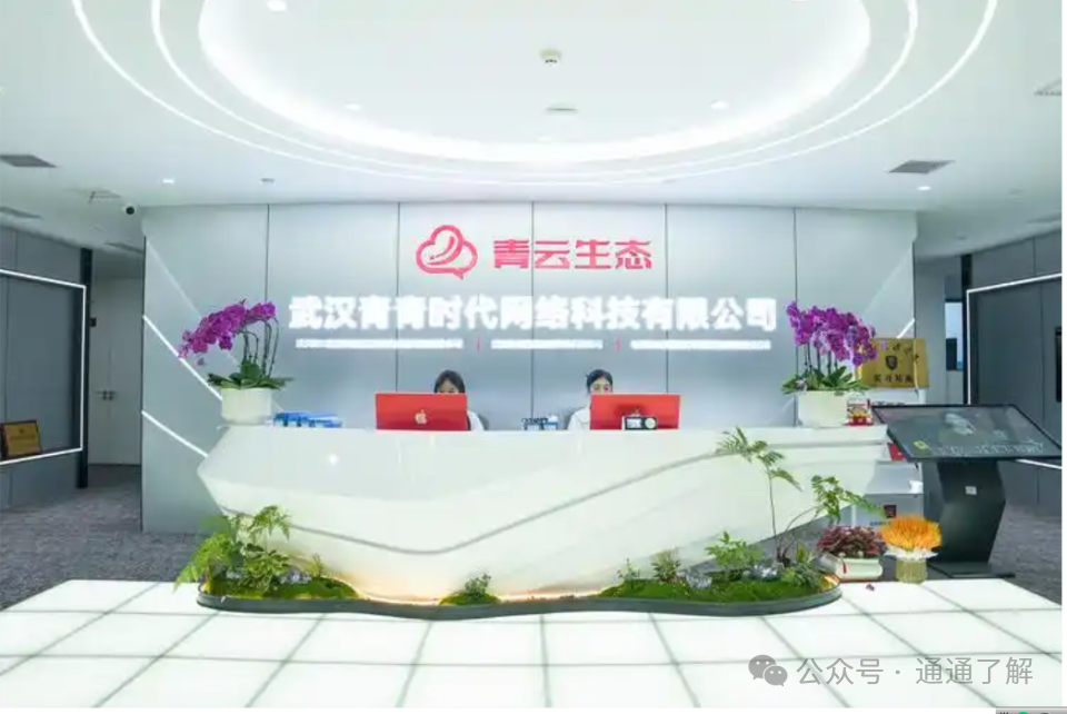 【青云租】爆雷揭秘：年化16.8%的“躺赚”骗局，如何让数千投资者血本