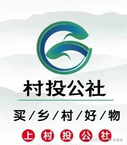 暴雷【村投公社】年化270%的乡村振兴骗局,谁在收割普通人的养老钱?