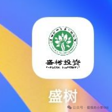 又一个“纪源资本”?“盛树投资”资金盘正在悄悄崩盘!