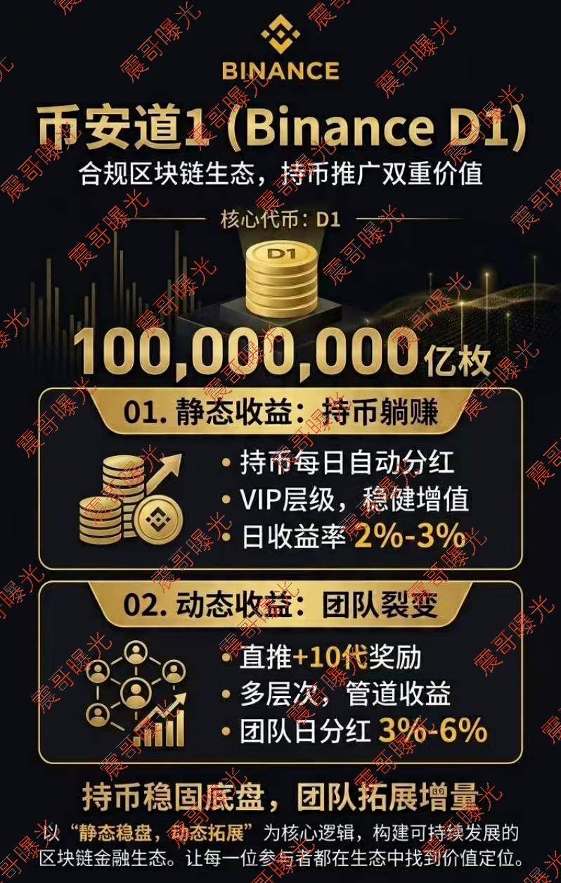 【币安道1】资金盘骗局，日收益2%，PPT都做不明白，你信它能长久？